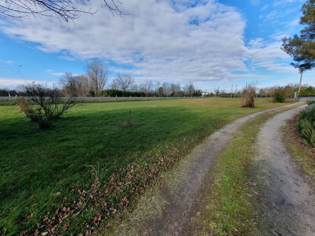 Terreno agricolo in Vendita a Turriaco