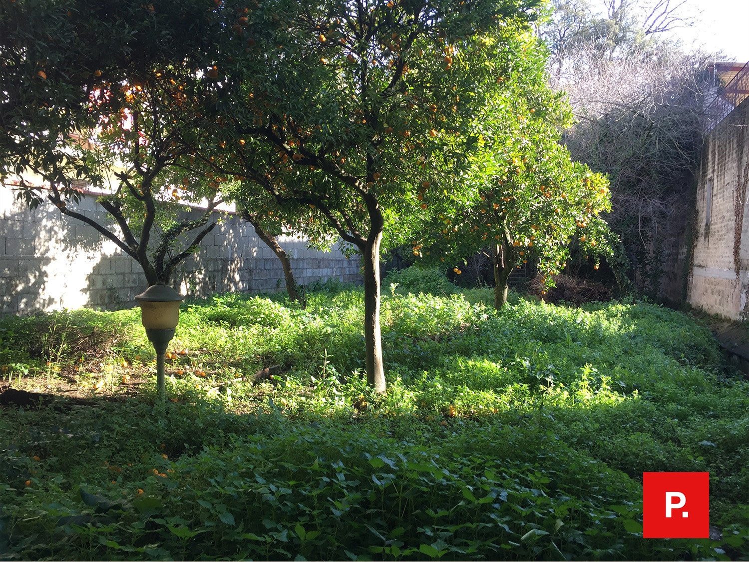 Villa Unifamiliare - Indipendente CASERTA vendita  Sala  lmmobil?are Petrella srl