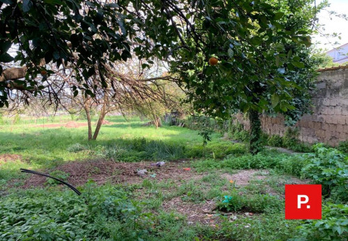 Casa singola in vendita a Alvignano