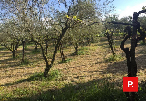 Villa in vendita a Caserta