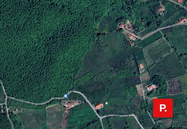 Terreno edificabile in vendita a Ruviano