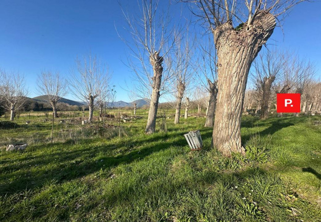 Casa singola in vendita a Pontelatone