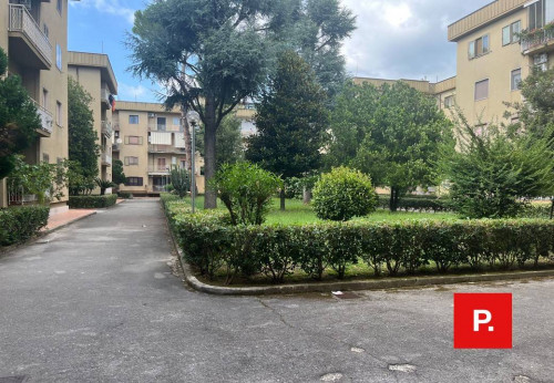 Appartamento in affitto a Caserta