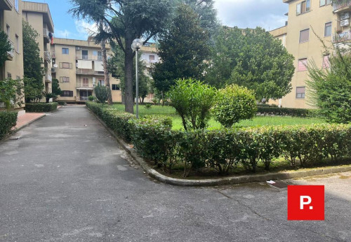 Appartamento in affitto a Caserta