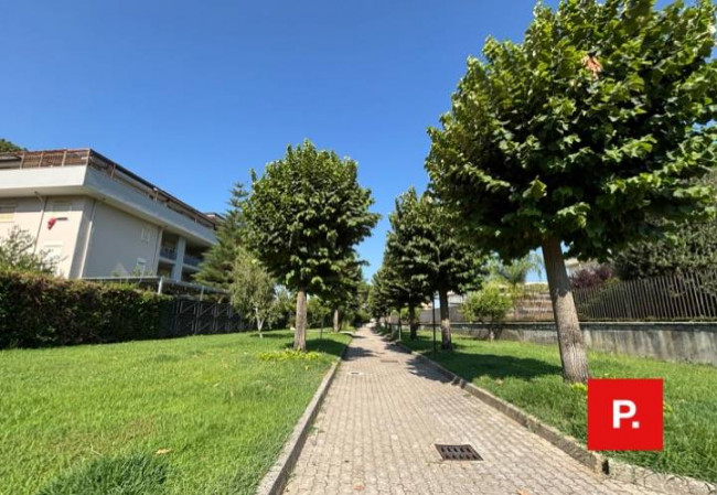 Appartamento in affitto a Caserta