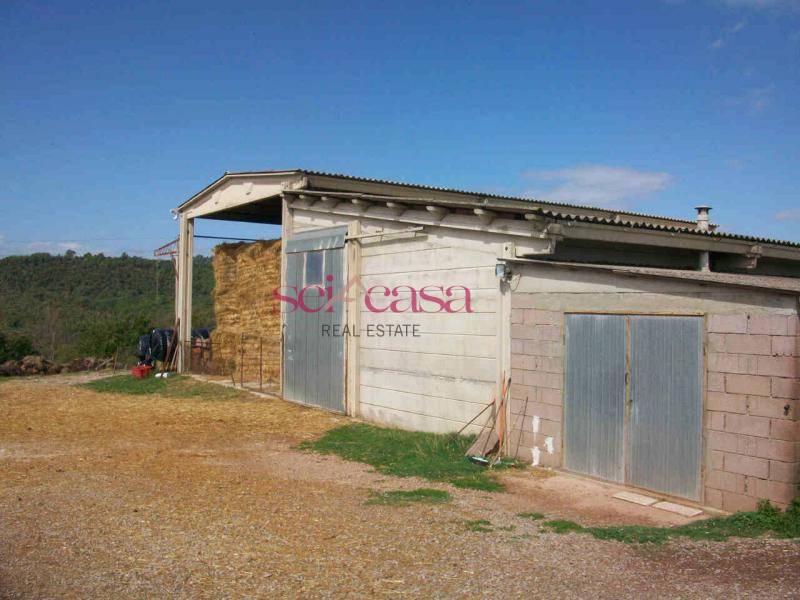 Rustico - Cascina SCANSANO vendita  Poggioferro  A&G Real Estate