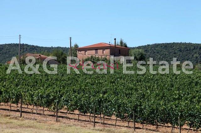 Rustico - Cascina MAGLIANO IN TOSCANA vendita    A&G Real Estate