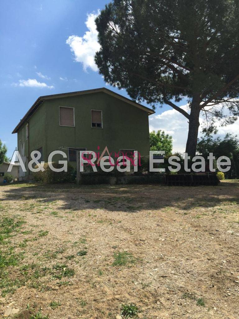  scansano vendita quart: pomonte a&g-real-estate