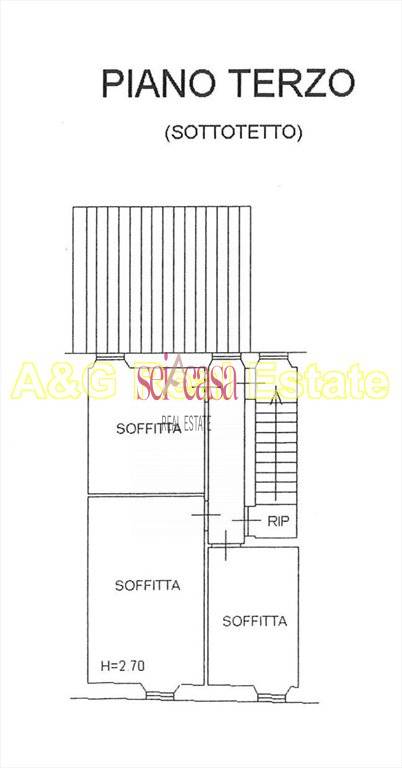 Appartamento CASTEL DEL PIANO vendita    A&G Real Estate