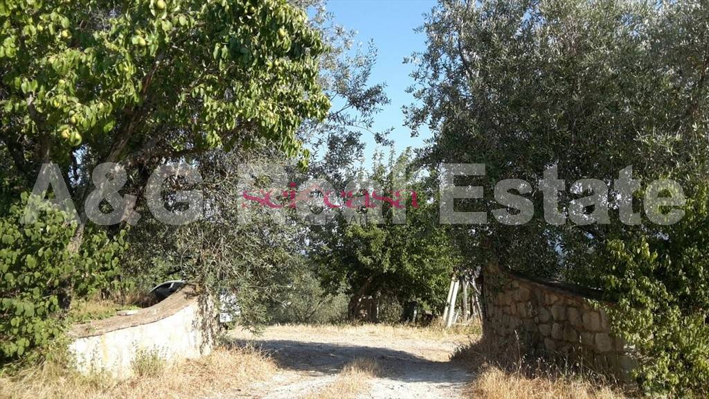 Stabile intero - Palazzo ROCCASTRADA vendita    A&G Real Estate