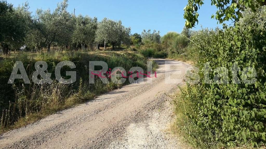 Stabile intero - Palazzo ROCCASTRADA vendita    A&G Real Estate