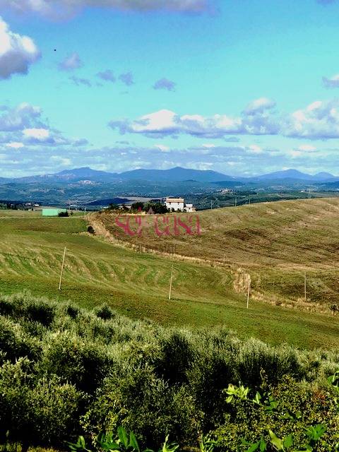 Rustico - Cascina CASTEL DEL PIANO vendita  Montenero d