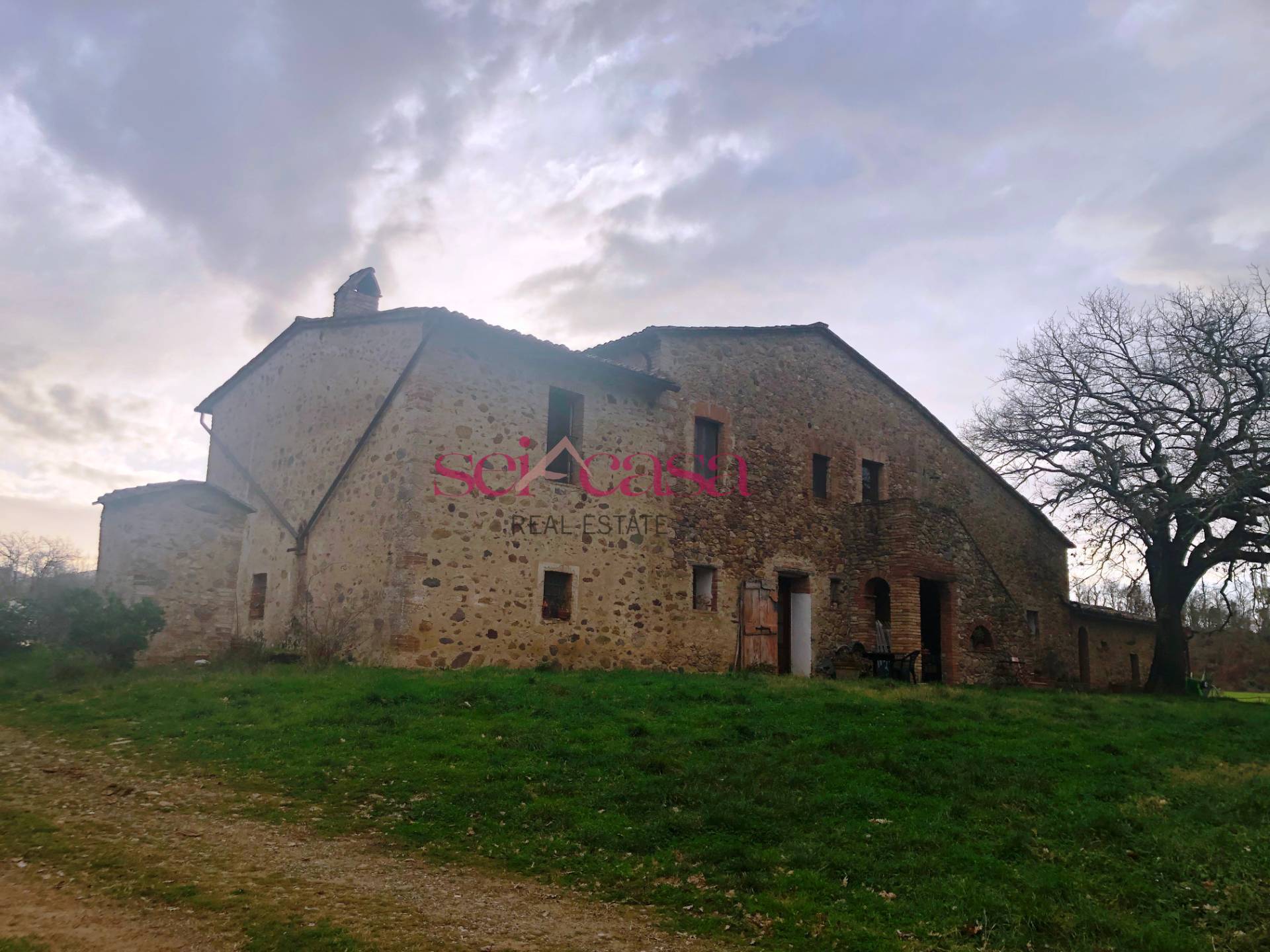 Rustico - Cascina CIVITELLA PAGANICO vendita  Casal di Pari  A&G Real Estate