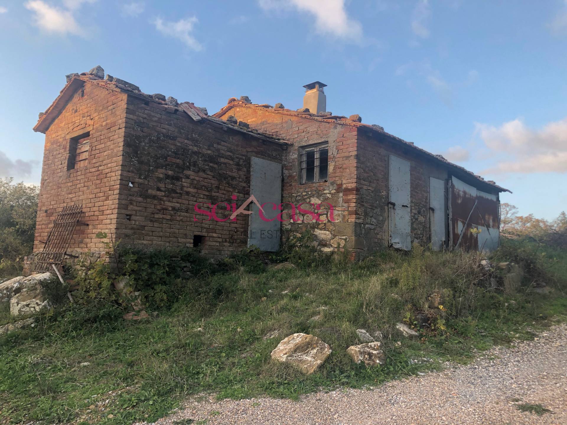 Rustico - Cascina SCANSANO vendita    A&G Real Estate