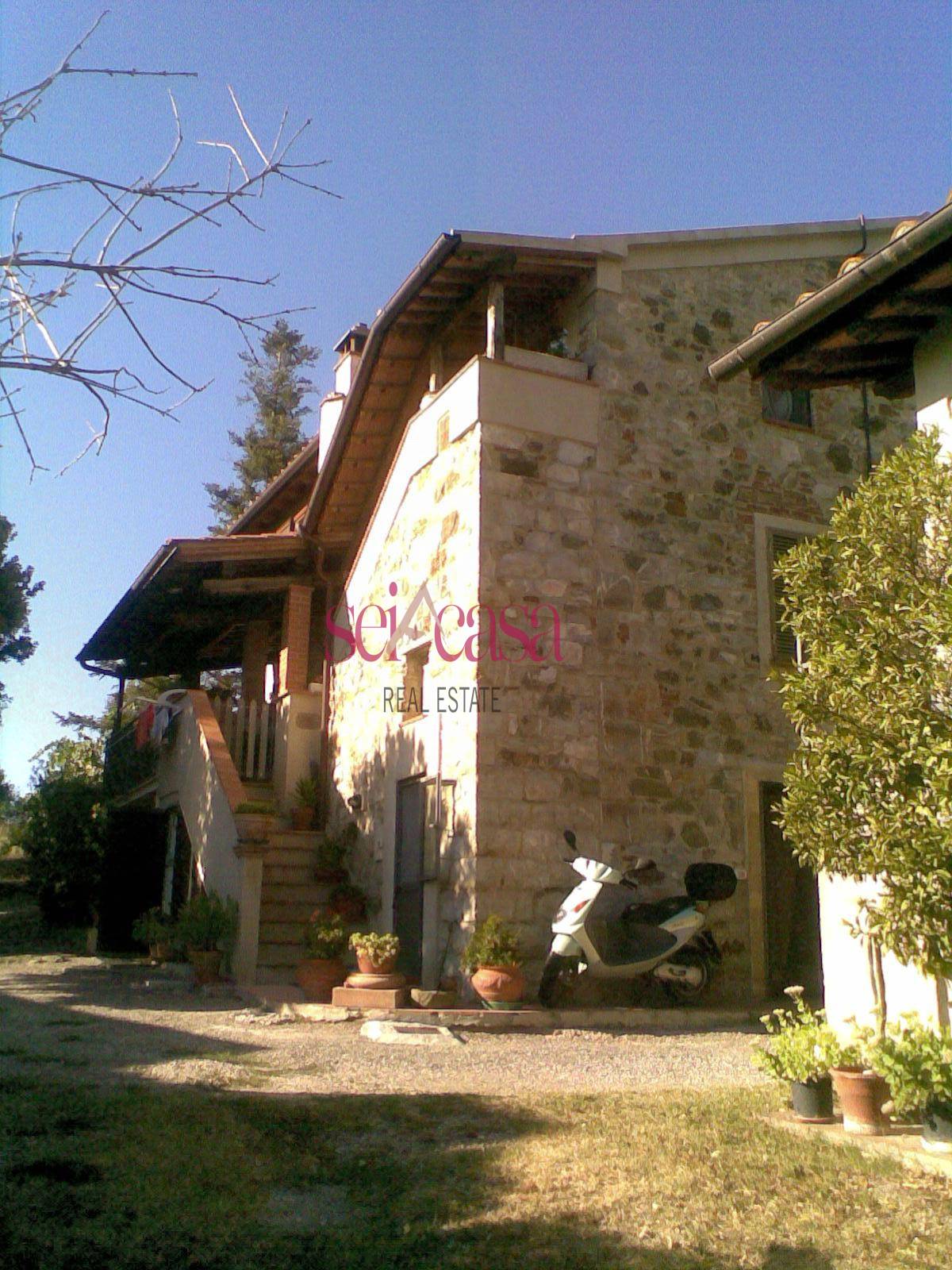 Rustico - Cascina CAMPAGNATICO vendita  Marrucheti  A&G Real Estate