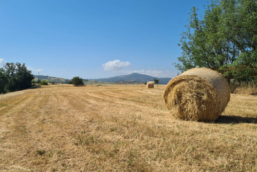 Rustico in vendita a Granaione, Campagnatico (GR)