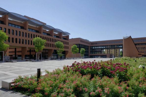 Ufficio in affitto a Treviso