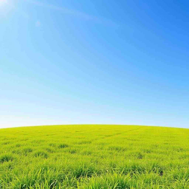 Terreno edificabile residenziale in vendita a Ponzano Veneto