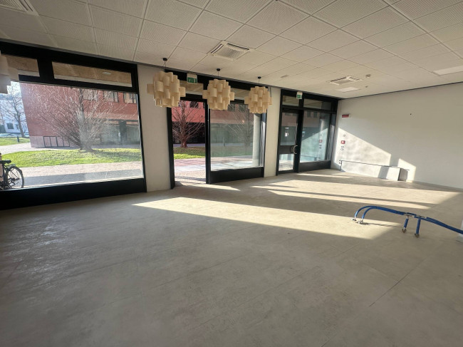 Ufficio in affitto a Treviso