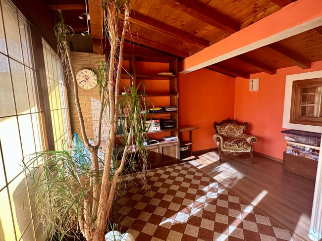 Schiere e abbinate in vendita a Treviso