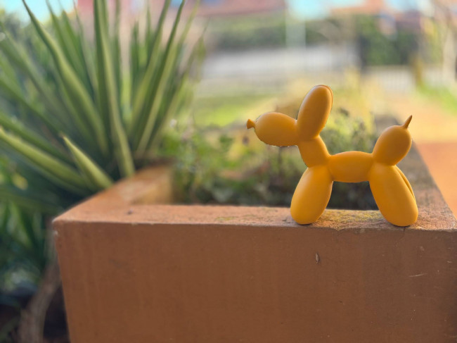 Singole in vendita a Ponzano Veneto