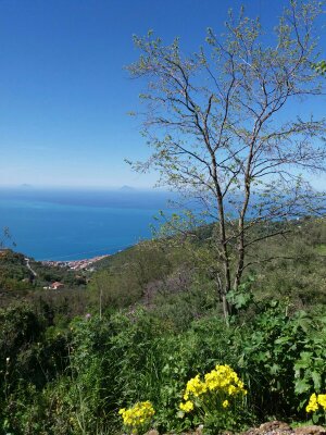 Villa Unifamiliare - Indipendente GIOIOSA MAREA vendita    casaitalia