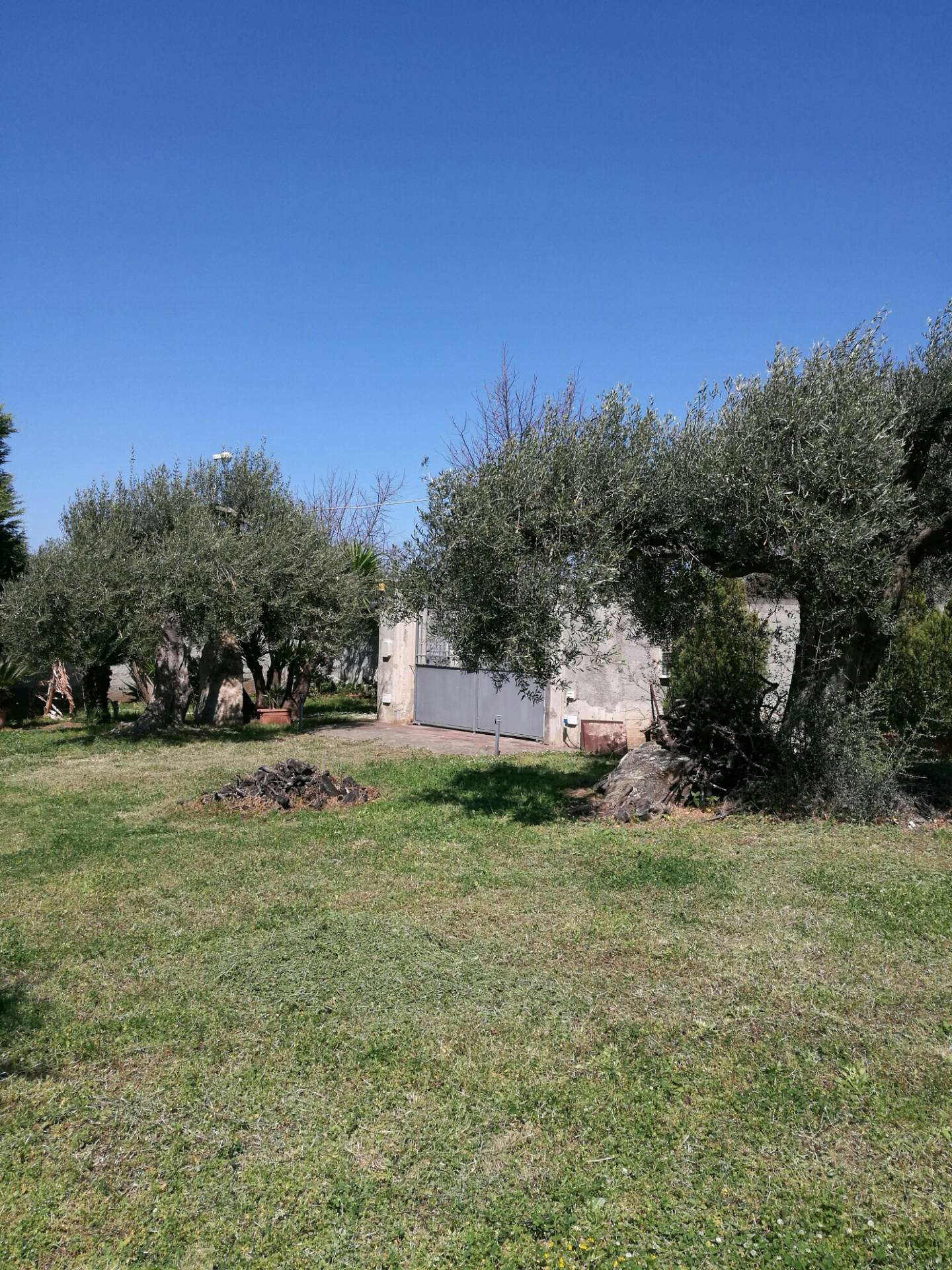 Villa MILAZZO vendita  CAPO  casaitalia