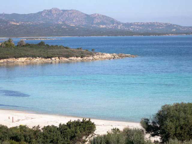  olbia-tempio affitto quart: porto rotondo casaitalia