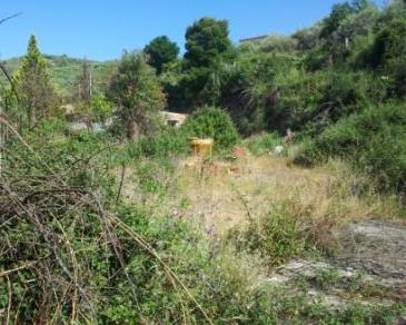 vendita terreno agricolo barcellona pozzo di gotto 1000 euro 6 locali 1000 mq