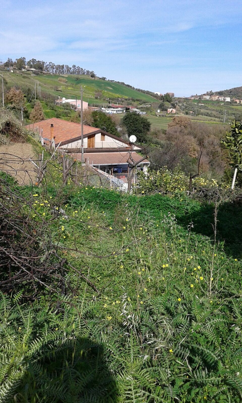 Villa Unifamiliare - Indipendente LIBRIZZI affitto    casaitalia