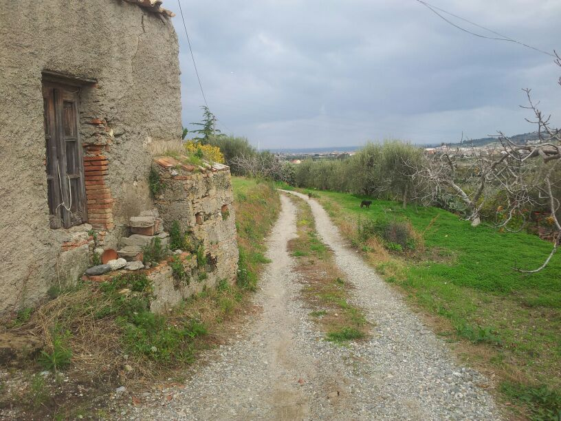 Villa Unifamiliare - Indipendente SAN PIER NICETO vendita    casaitalia