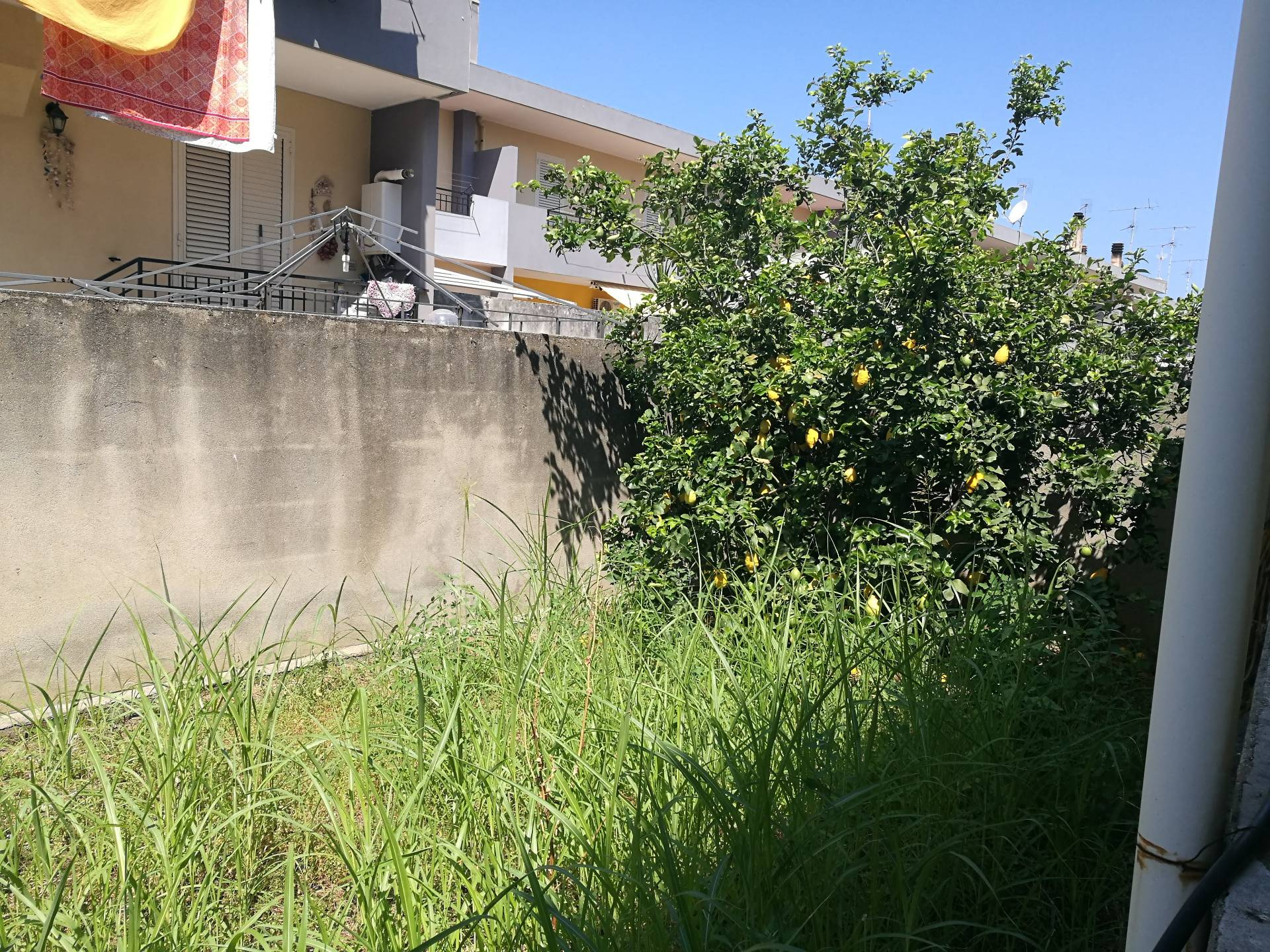 Villa Unifamiliare - Indipendente TORREGROTTA vendita    casaitalia