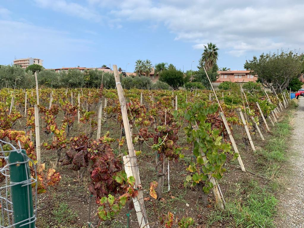 Villa Unifamiliare - Indipendente FURNARI vendita  Tonnarella  casaitalia