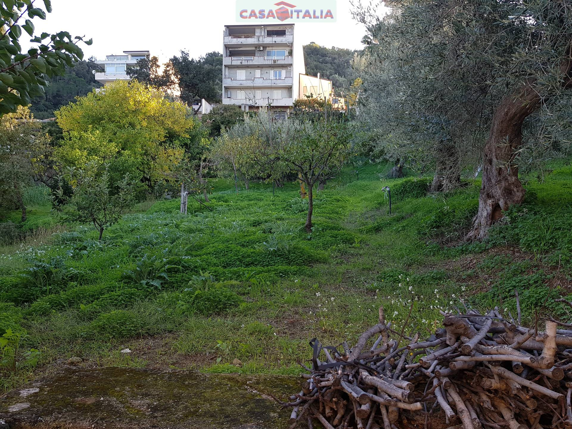 Villa Unifamiliare - Indipendente RODÌ MILICI vendita    casaitalia