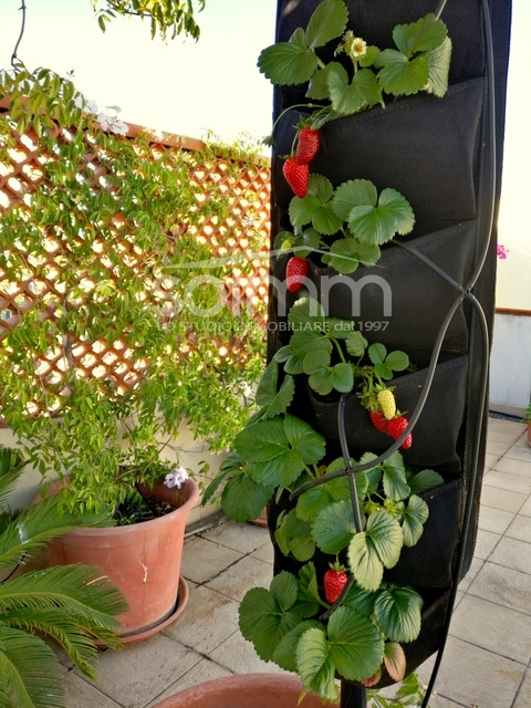 Appartamento in vendita a Quartu Sant'Elena - 3