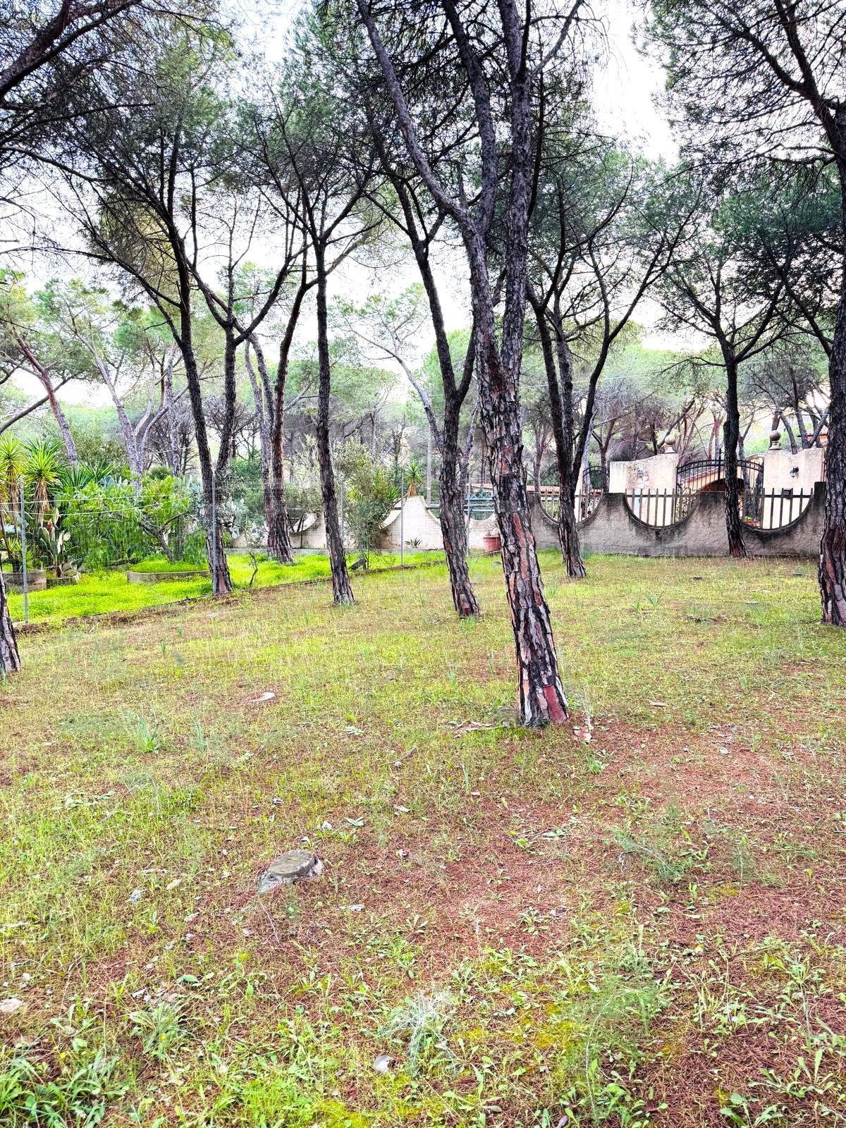 Villa in vendita a Pula - 3