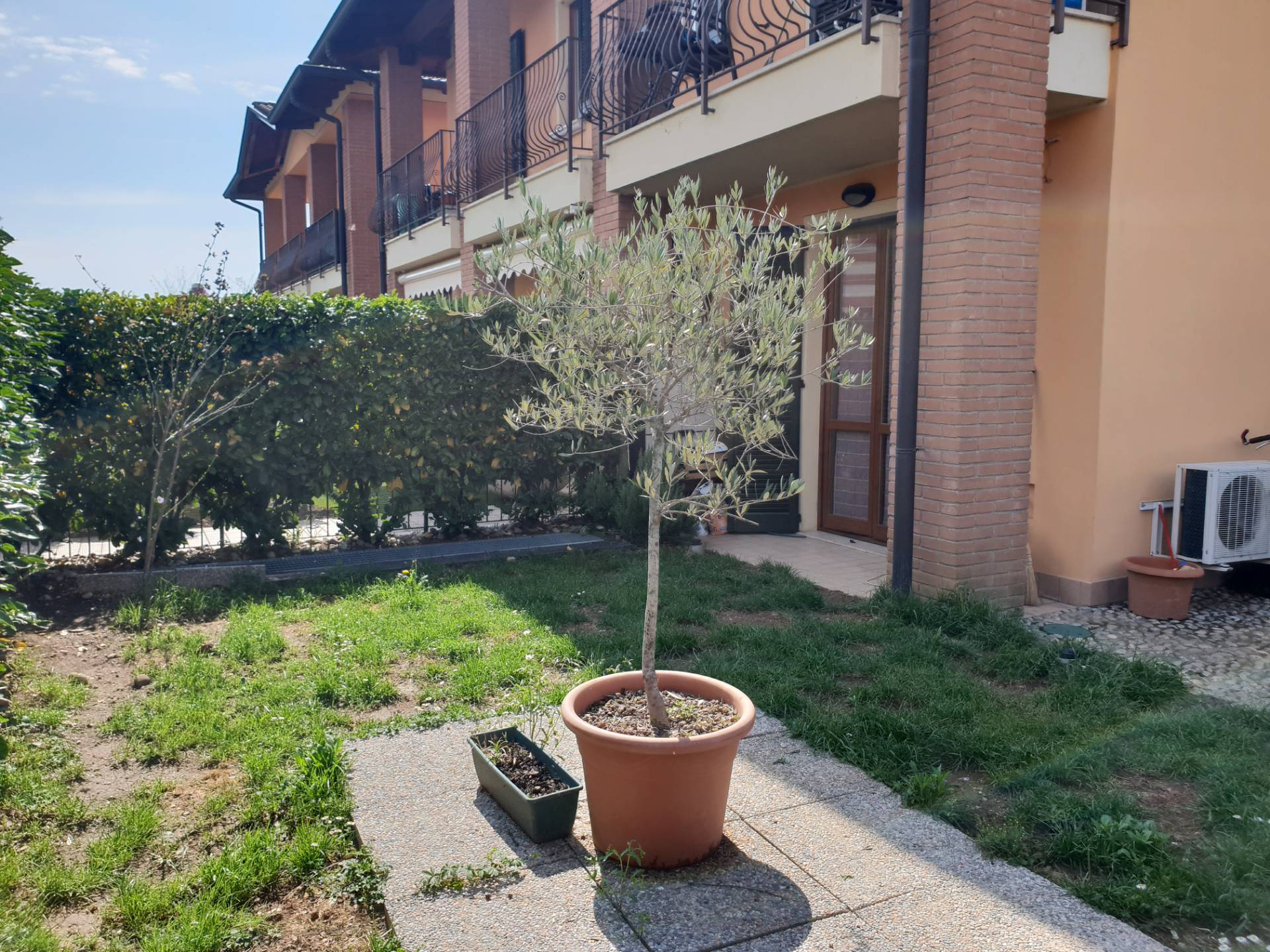 Appartamento ERBUSCO vendita    Fondo Casa Palazzolo sull