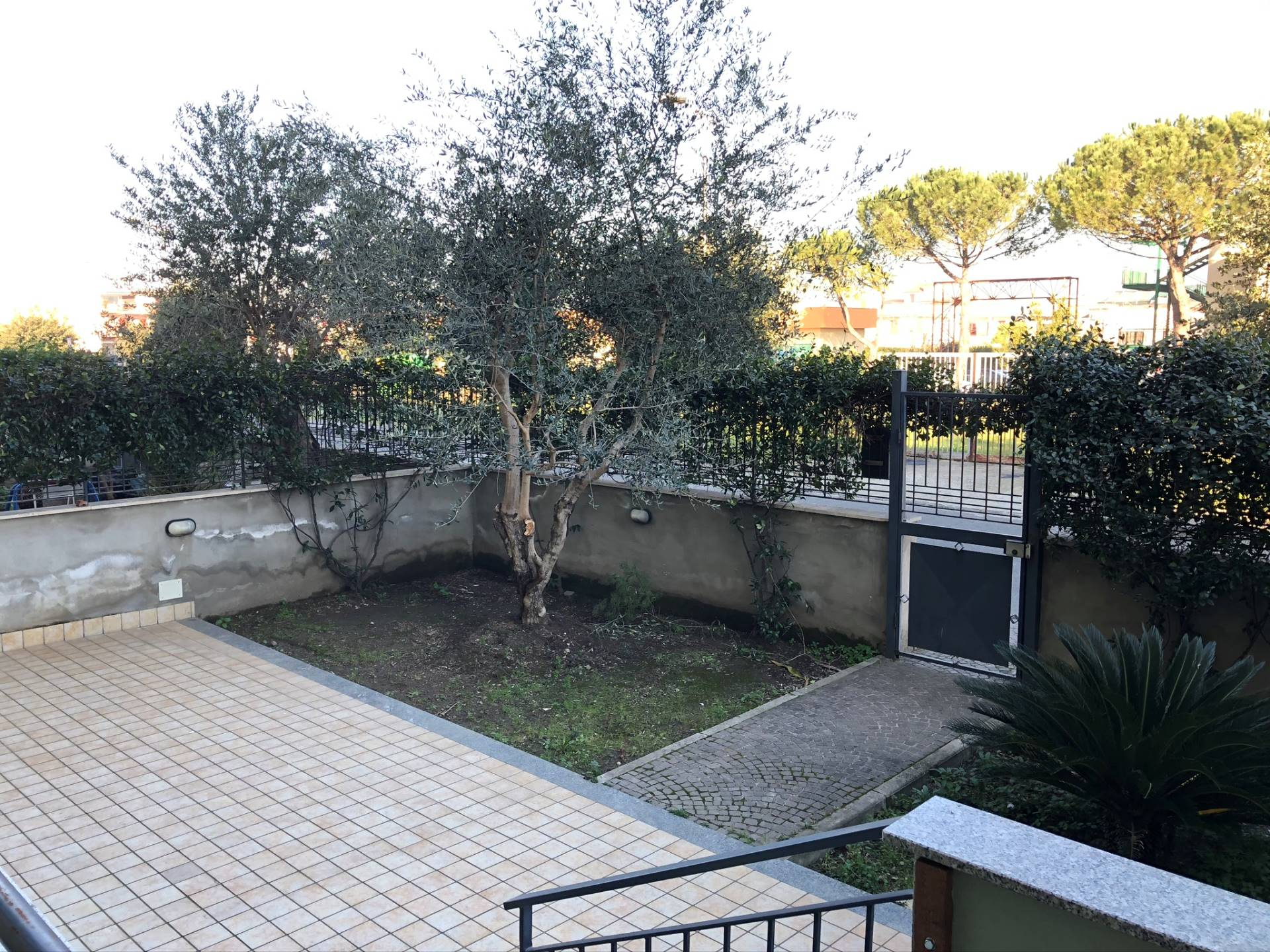 Appartamento MARIGLIANELLA vendita    IMMOBILIARE FC SAS