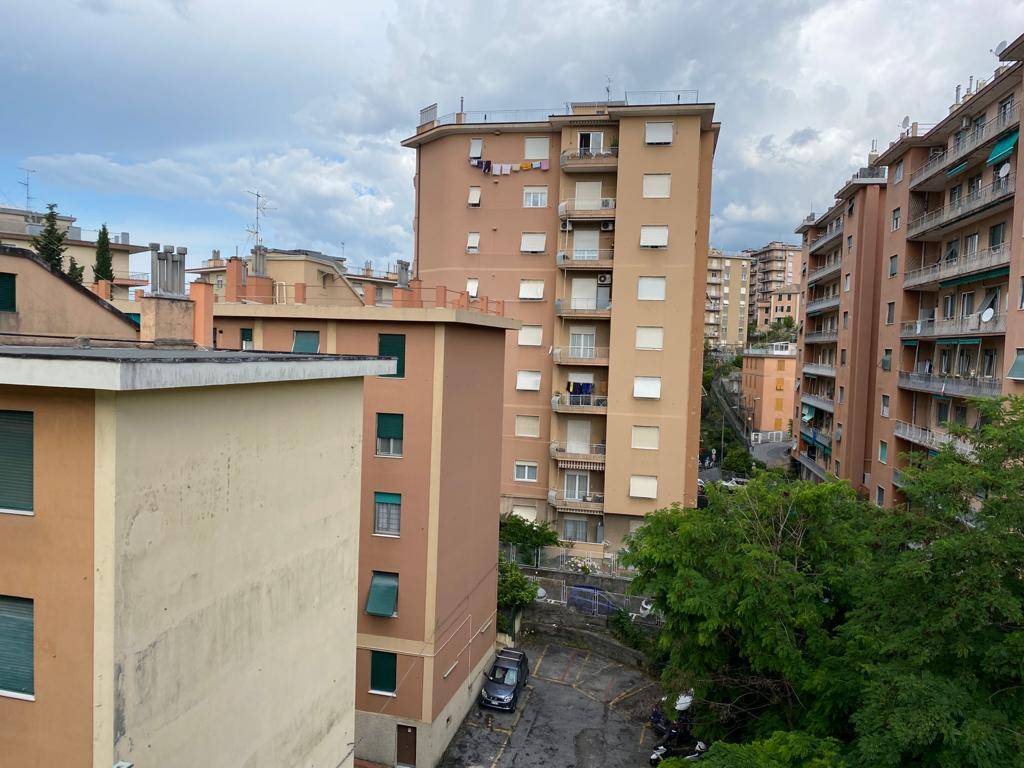  genova vendita quart: sestri ponente centro storico uno s.a.s.