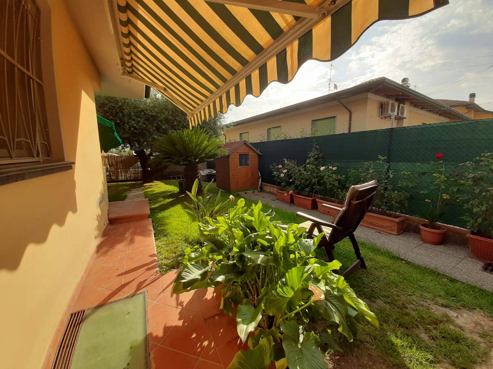 Villa Unifamiliare - Indipendente MASSA vendita    Massa