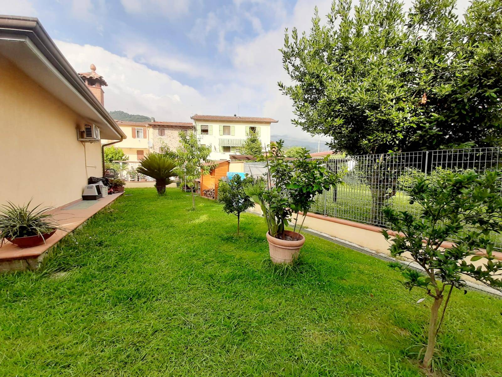 Villa Unifamiliare - Indipendente MASSA vendita    Massa