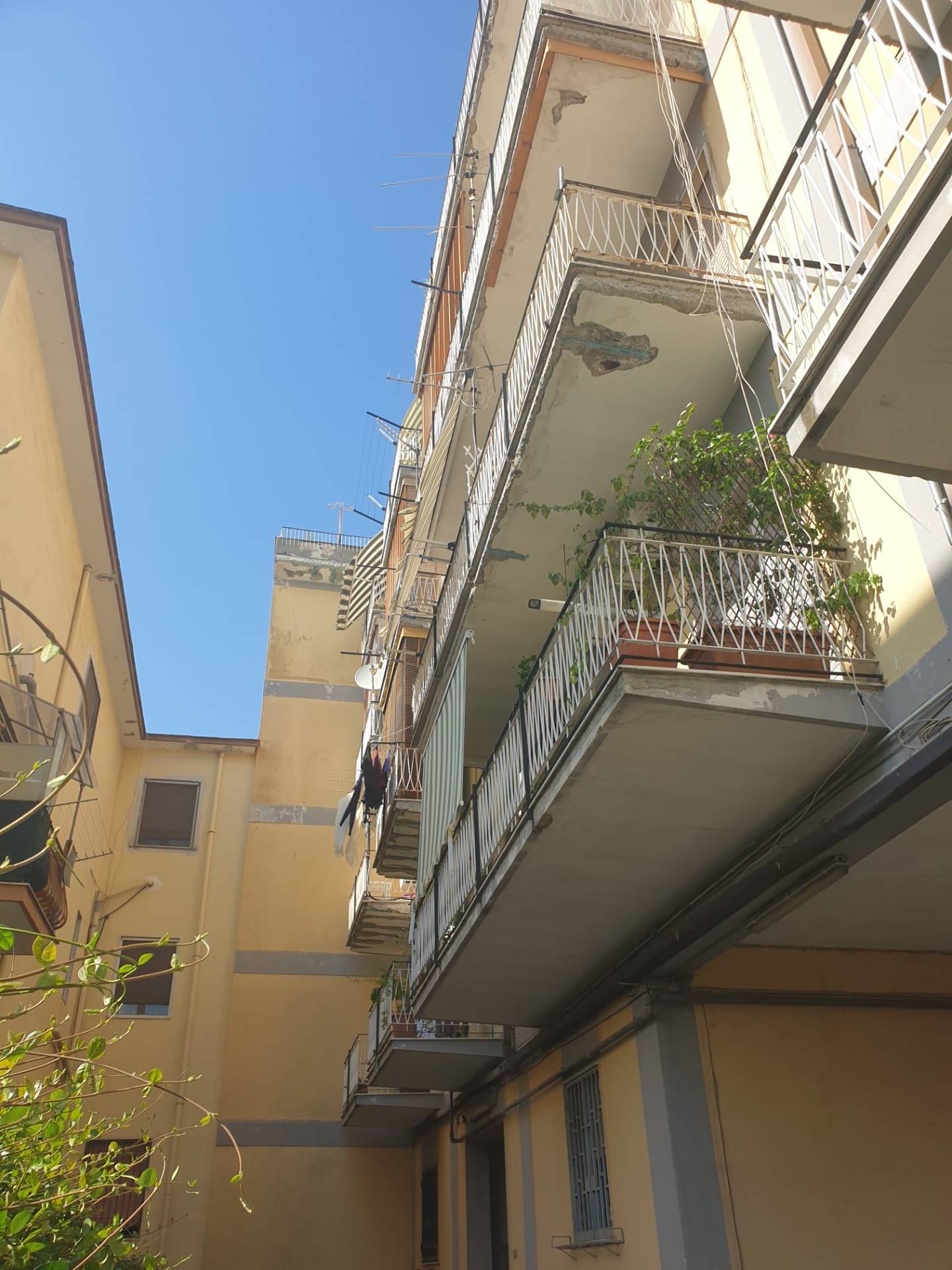 Appartamento MARIGLIANO vendita    IMMOBILIARE FC SAS