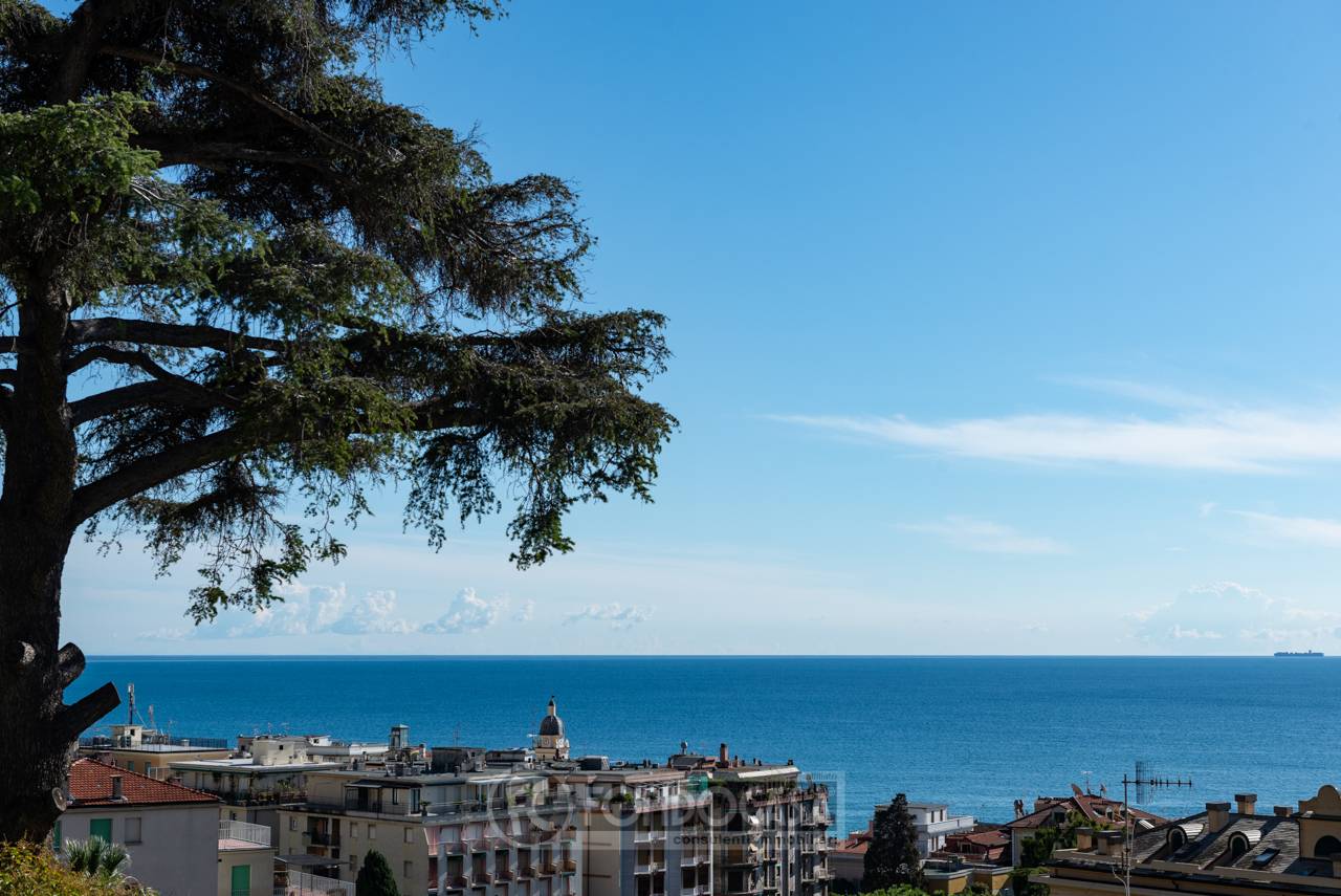 Appartamento ALASSIO vendita    Alassio Mare srl