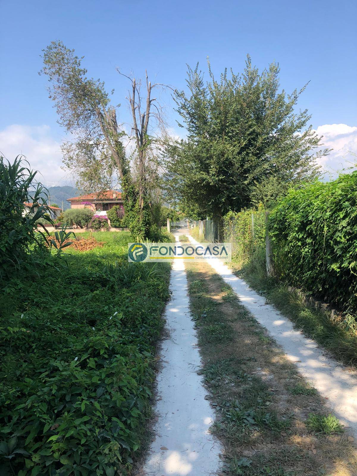 Terreno agricolo in vendita a Marina Di Massa, Massa (MS)