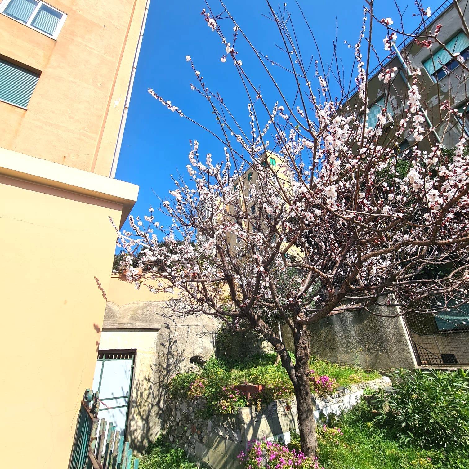 Appartamento in vendita a Genova (GE)