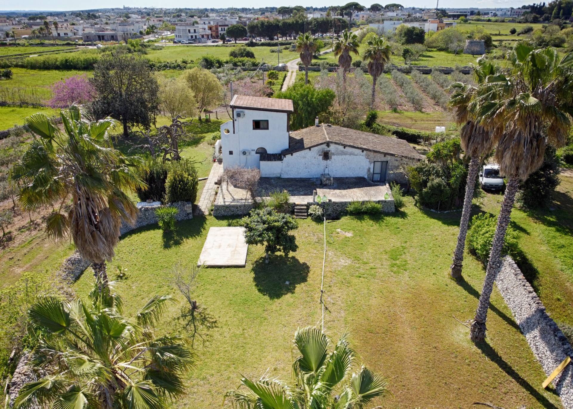Foto - Villa In Vendita A Carpignano Salentino