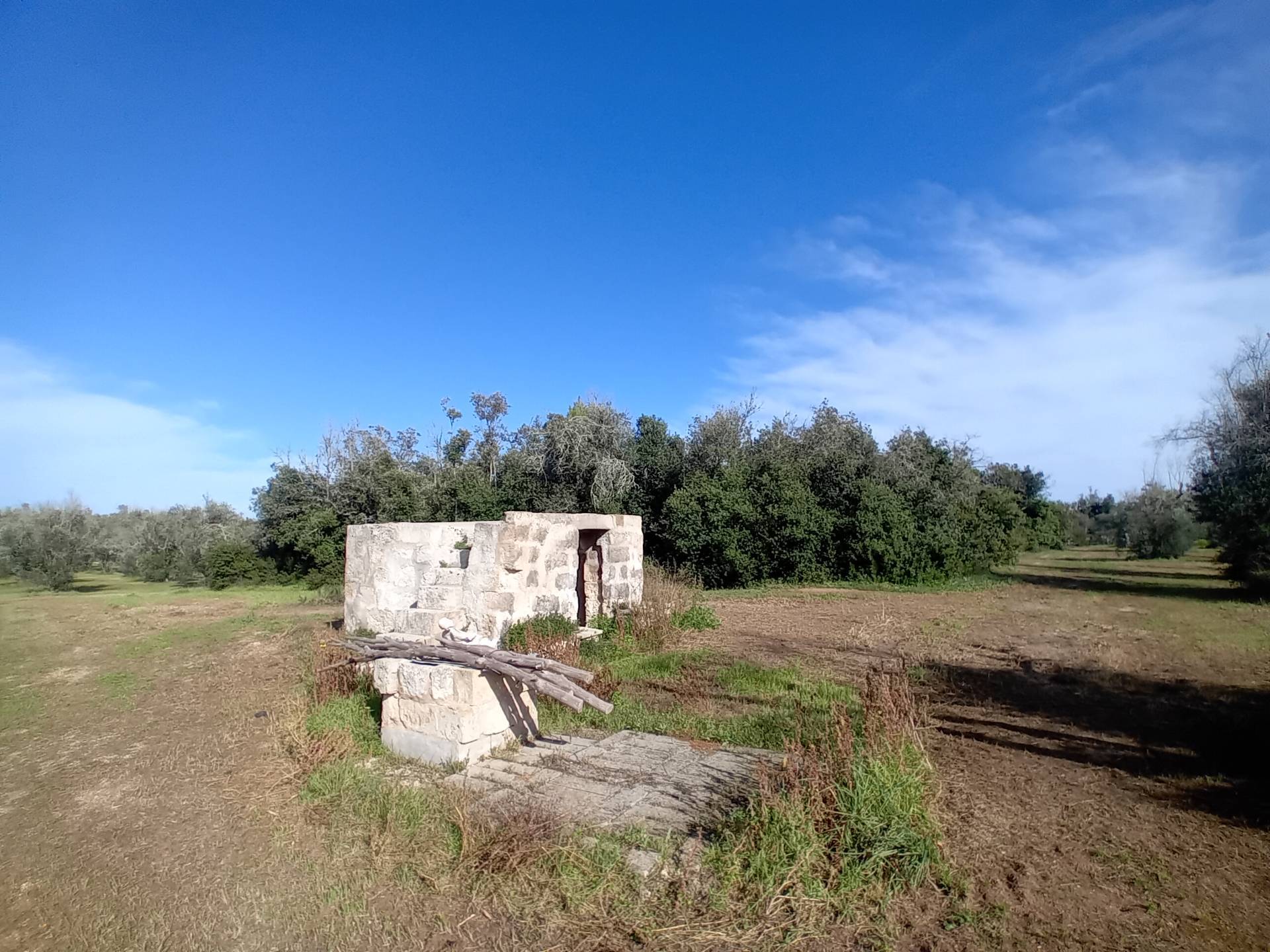 Foto - Terreno Agricolo In Vendita A Ortelle
