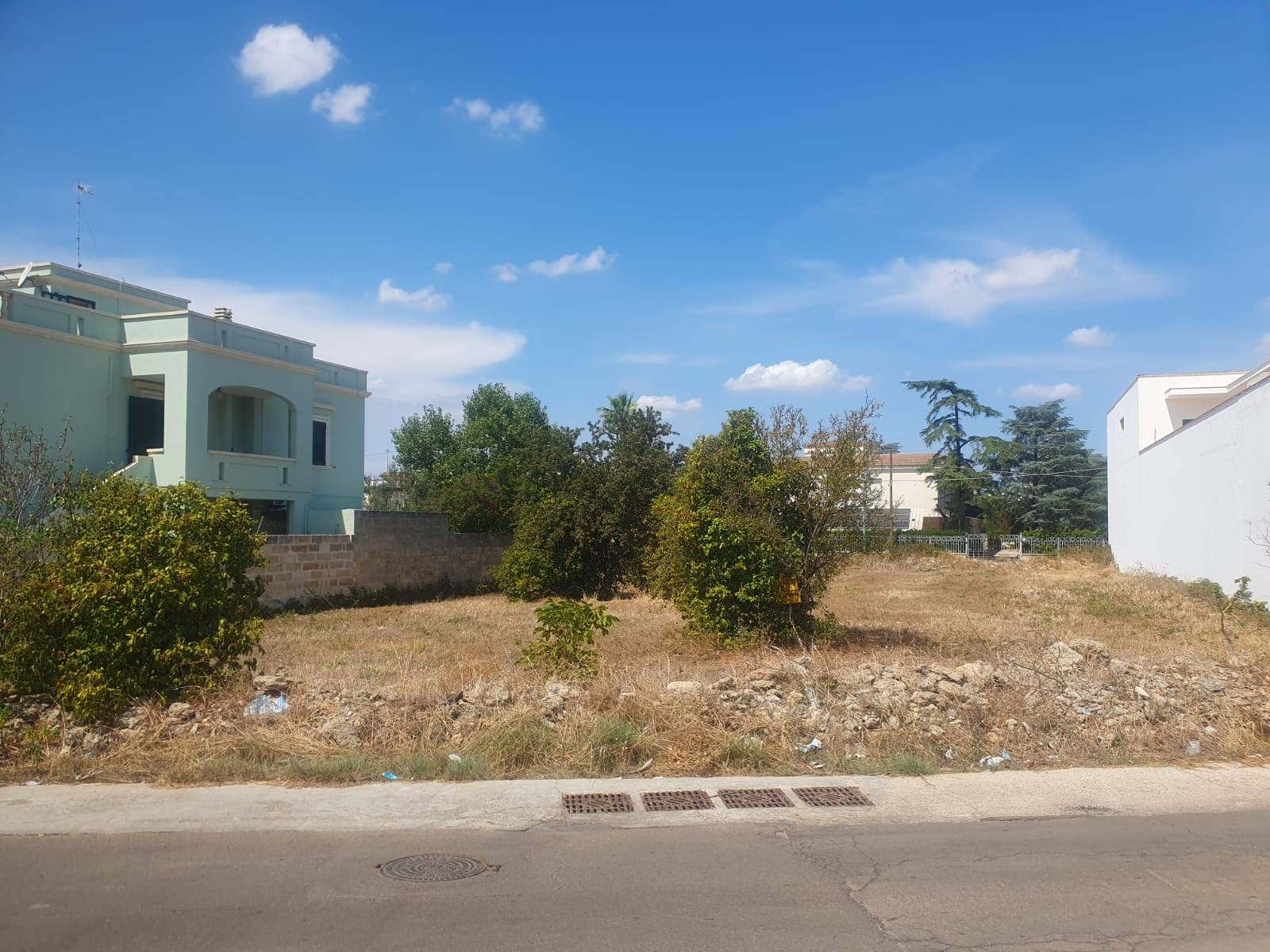 Foto - Terreno Edificabile In Vendita A Montesano Salentino