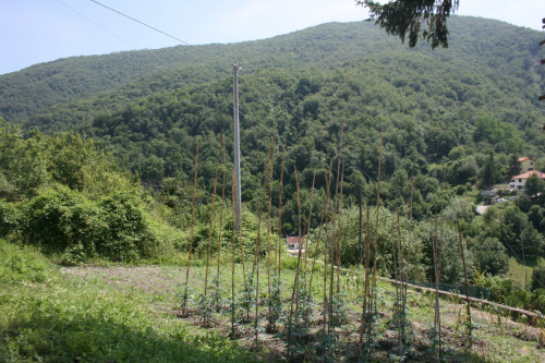 Casa semi-indipendente in vendita a Pedemonte, Serra Riccò (GE)