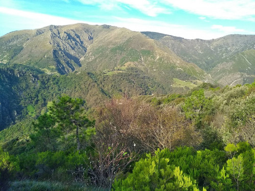 Terreno agricolo in vendita a Voltri, Genova (GE)